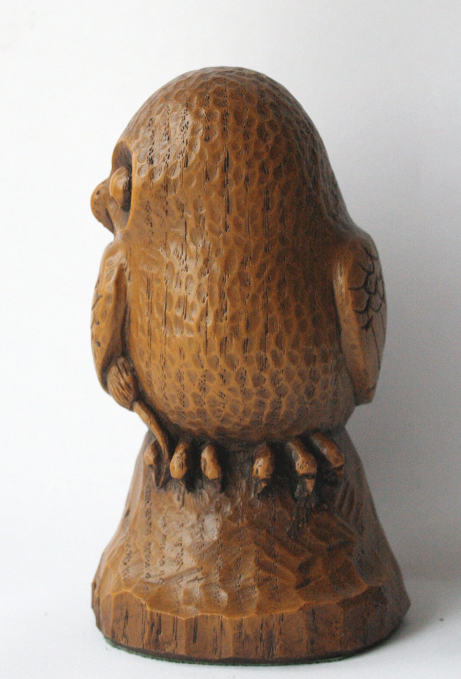 Wise Old Owl - front