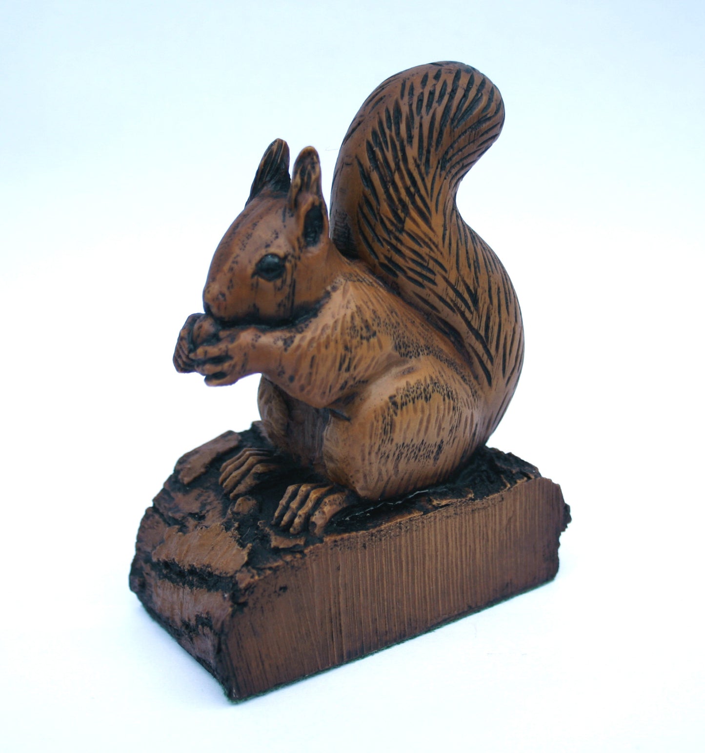 Squirrel on a Log