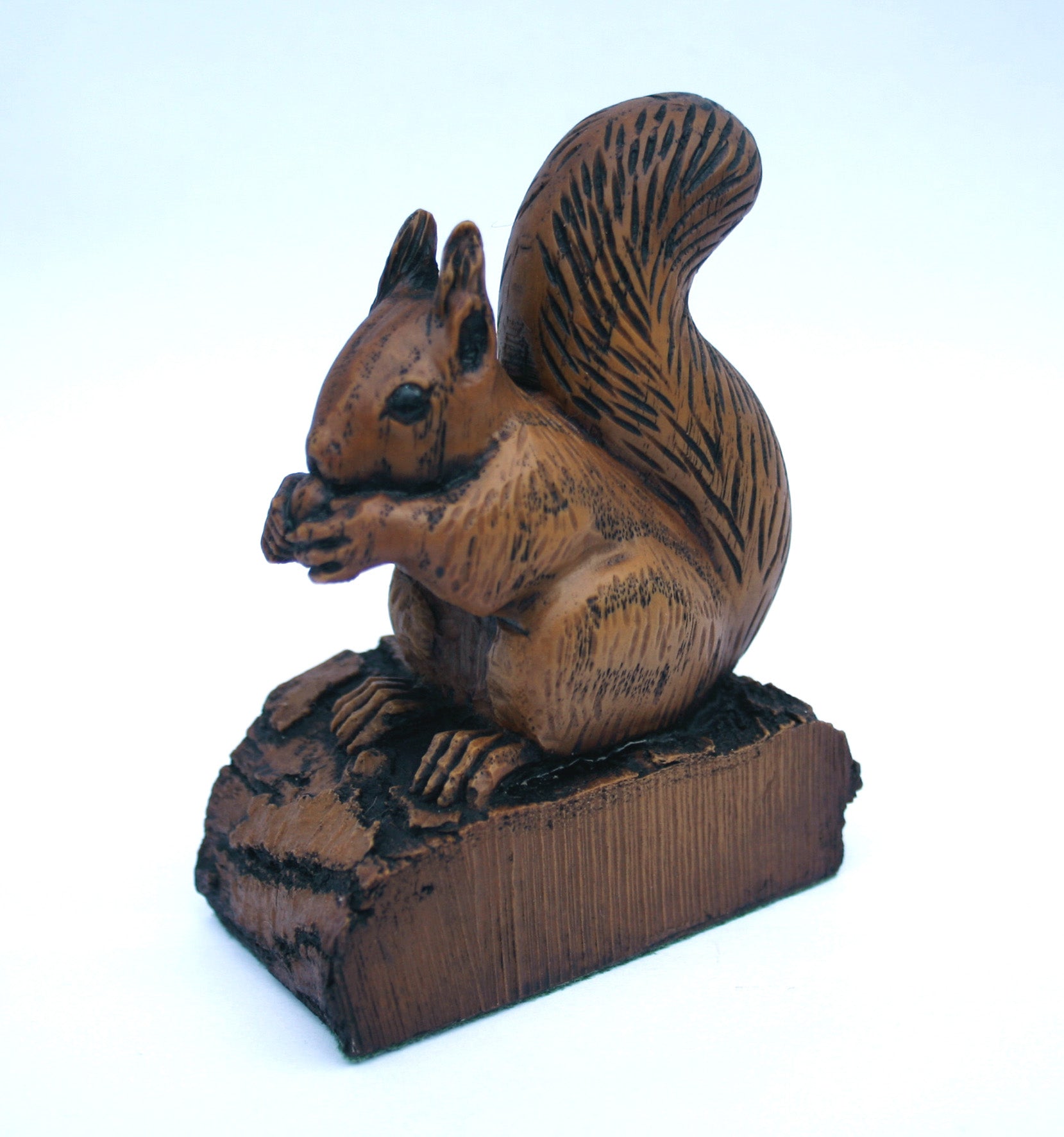 Squirrel on a Log